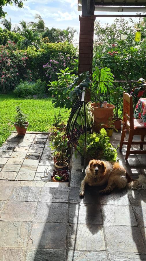 Comfy Home-Tropical Garden & 5 Min Walk To Beach タマラン エクステリア 写真