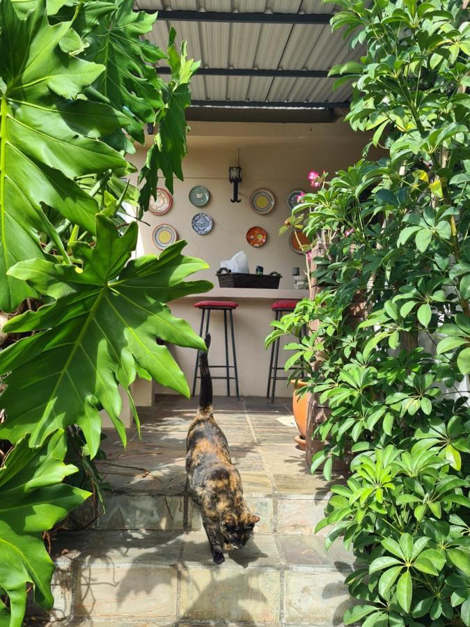 Comfy Home-Tropical Garden & 5 Min Walk To Beach タマラン エクステリア 写真